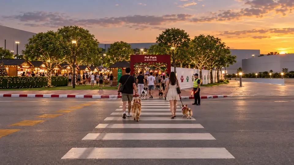 Visitors with dogs on leads crossing the road to the Pet Park entrance at sunset
